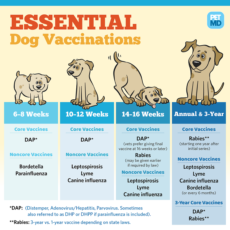 dogs and vaccines