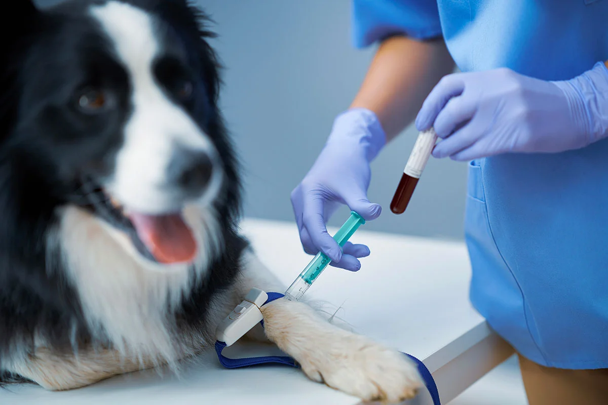 Diagnostic Screening