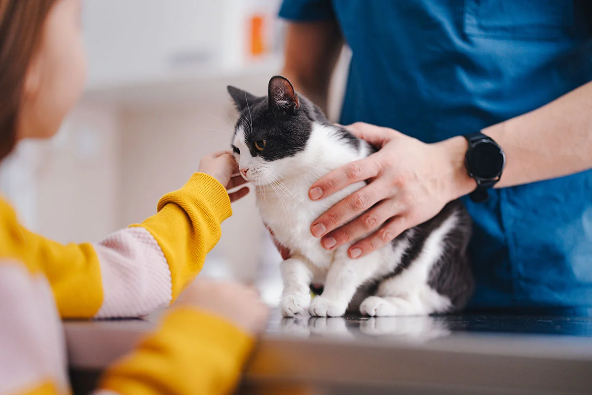 Empowering Pet Owners Through Education