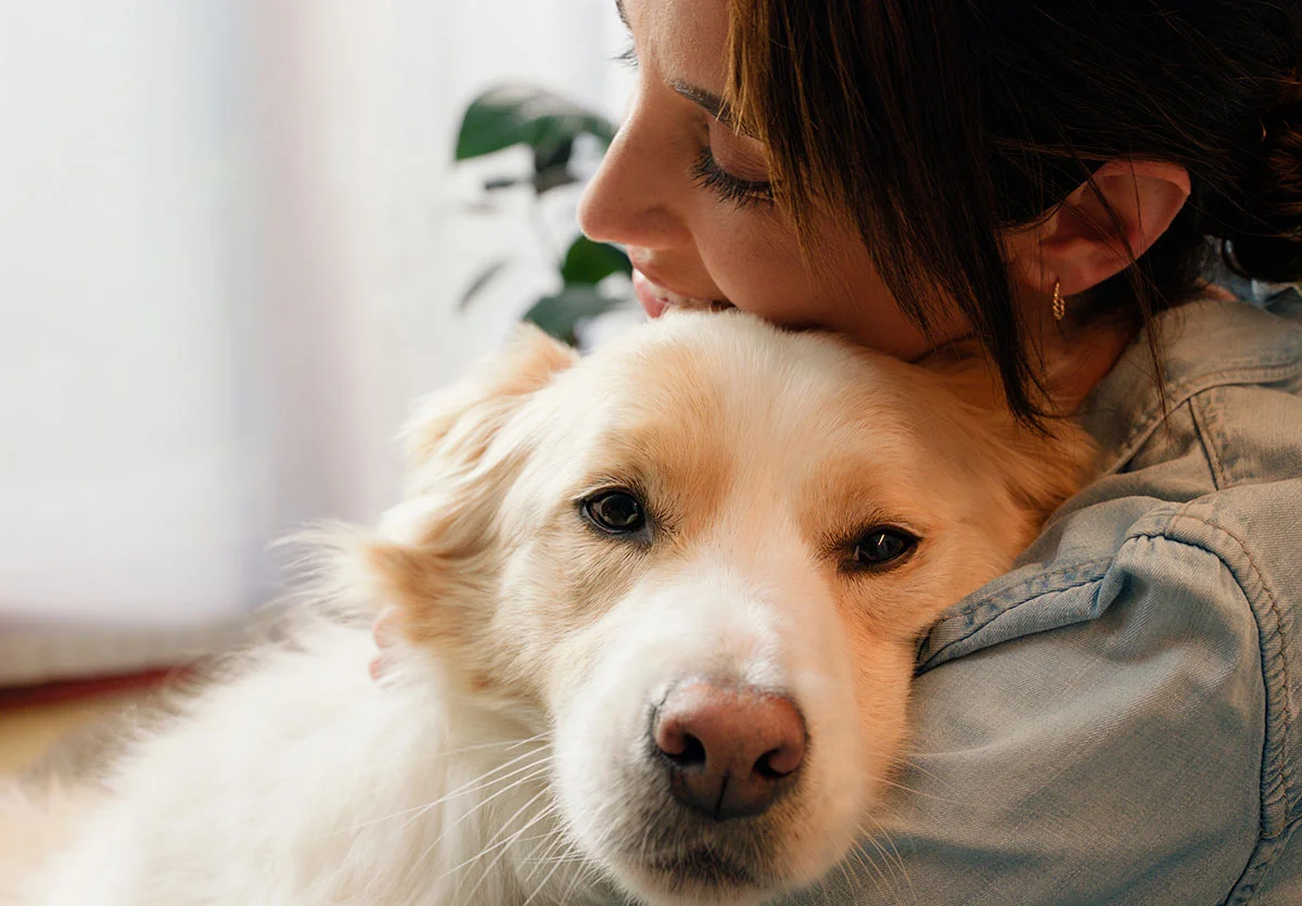 Nu.Q® Vet Cancer Screening